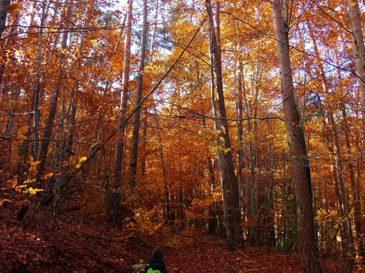 Le Vallon D'Armandine, Gite Ecologique Auvergne Saint-Hilaire  Zewnętrze zdjęcie