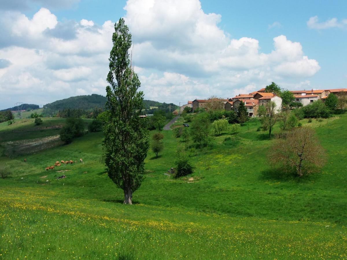 Le Vallon D'Armandine, Gite Ecologique Auvergne Saint-Hilaire  Zewnętrze zdjęcie
